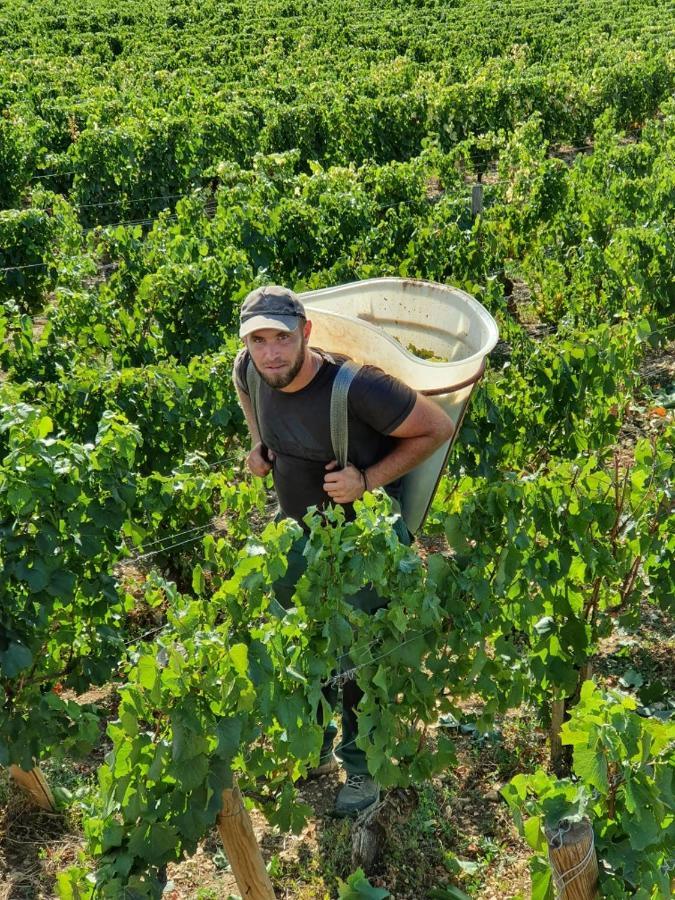 La Fruitiere Lägenhet Chaudenay Exteriör bild