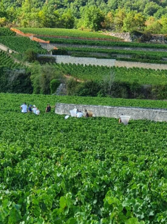 La Fruitiere Lägenhet Chaudenay Exteriör bild